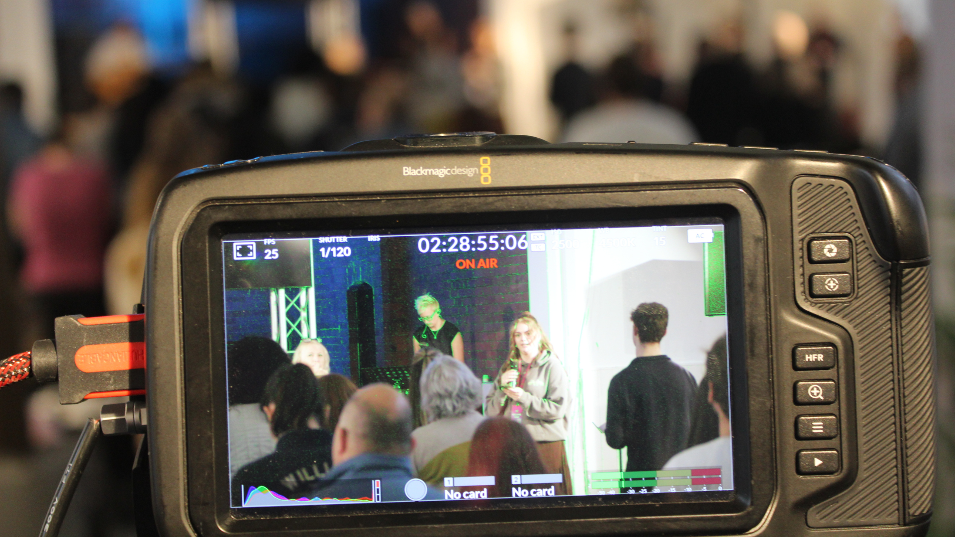 Untitled design (39)